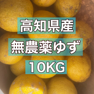 高知県産　無農薬ゆず　10kg(フルーツ)