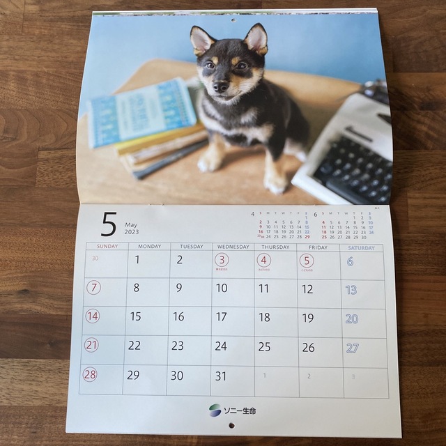 2022カレンダー ゆかいな子犬たち インテリア/住まい/日用品の文房具(カレンダー/スケジュール)の商品写真