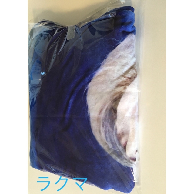 SHINee テミン TAEMIN ブランケット マスター 未使用 - アイドルグッズ