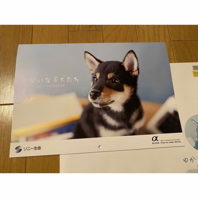 SONY(ソニー)のソニー生命 カレンダー2023  ゆかいな子犬たち インテリア/住まい/日用品の文房具(カレンダー/スケジュール)の商品写真