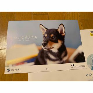 ソニー(SONY)のソニー生命 カレンダー2023  ゆかいな子犬たち(カレンダー/スケジュール)