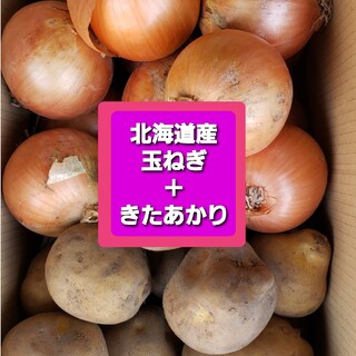北海道産　玉ねぎ　＋　じゃがいも【キタアカリ】　約１０キロ　訳あり品(野菜)