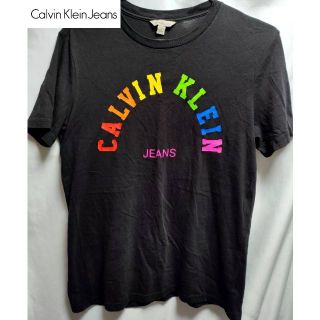 カルバンクライン(Calvin Klein)のCALVIN KLEIN JEANS マルチカラーロゴTシャツ(Tシャツ/カットソー(半袖/袖なし))