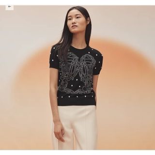 エルメス(Hermes)の【PURA♡様ご専用】エルメス　2023SS　 プレタ 半袖ニット(ニット/セーター)