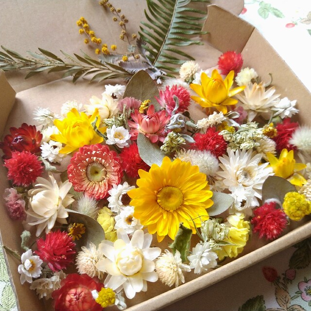 ☆専用ページ☆ドライフラワー♥お買い得アソートBOX花材75個 www.apexcustomassembly.com