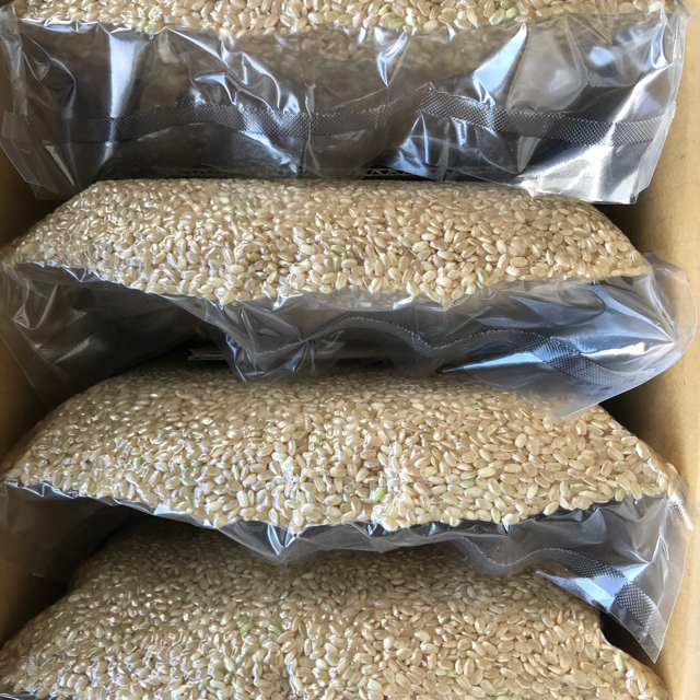 在来種　肥料不使用　自然栽培　R4年　玄米　農薬不使用　米/穀物　朝日米　20kg小袋×8