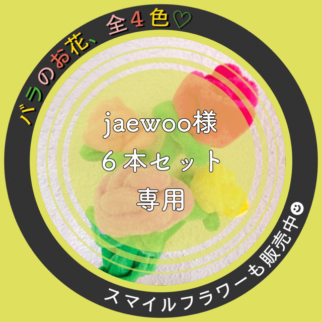 ꧁ ☻： jaewoo 様 専用BOX ꧂ エンタメ/ホビーのおもちゃ/ぬいぐるみ(ぬいぐるみ)の商品写真