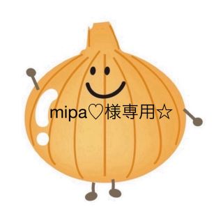 mipa♡様専用☆(各種パーツ)