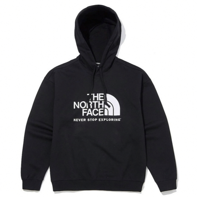 THE NORTH FACE NSE COLORING HOODIE Mサイズ