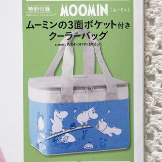 ムーミン(MOOMIN)の新品未開封 ムーミン ポケット付きクーラーBAG クーラーバッグ(キャラクターグッズ)