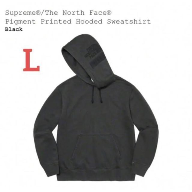 Supreme The North Face Hooded Sweatshirt