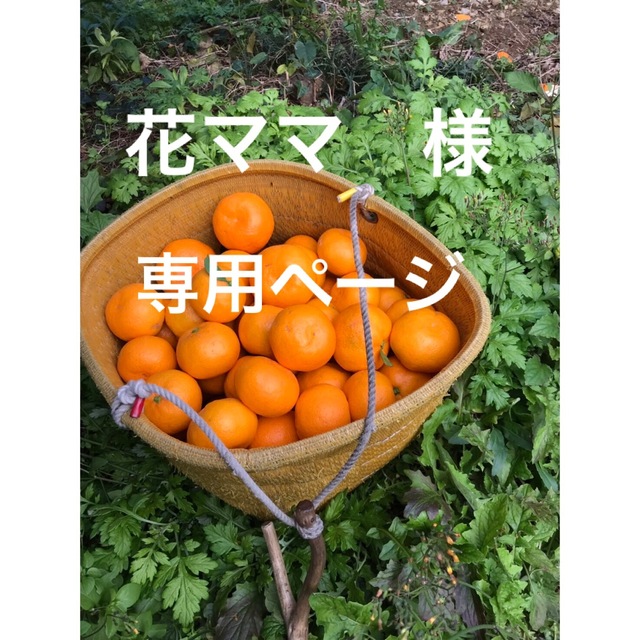 花ママ　様　専用ページ 食品/飲料/酒の食品(フルーツ)の商品写真