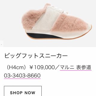 マルニ(Marni)の短期間出品！処分価格！新品！MARNI ビッグフット スニーカー 40サイズ(スニーカー)