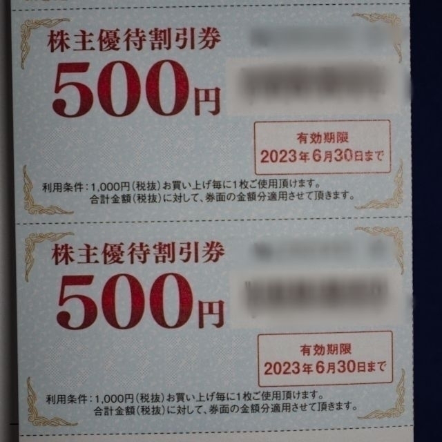 期間限定価格 GEO ゲオホールディングス 株主優待 12000円分