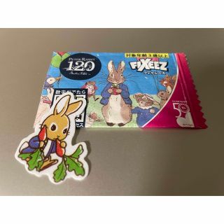 ピーターラビット(PETER RABBIT（TM）)のピーターラビット☆フィクシーズ☆シール／アイロン両用タイプ(ノベルティグッズ)