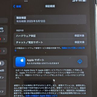 ipad pro 第3世代　256GB セルラー　限定保証あり