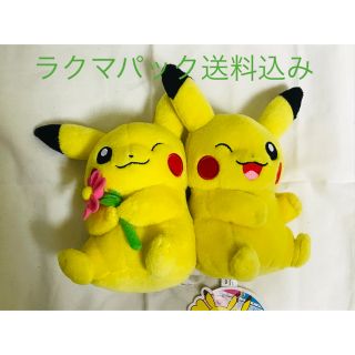 ポケモン ペア ぬいぐるみの通販 48点 | ポケモンのエンタメ/ホビーを