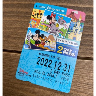 ディズニー(Disney)のディズニーリゾートライン2day pass(遊園地/テーマパーク)