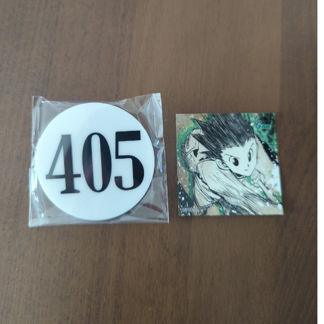 集英社(シュウエイシャ)の冨樫展 ナンバープレート 405 ゴン エンタメ/ホビーのアニメグッズ(その他)の商品写真