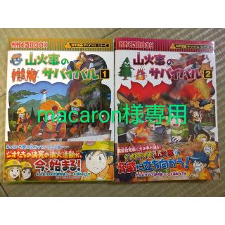 山火事のサバイバル１、２(その他)