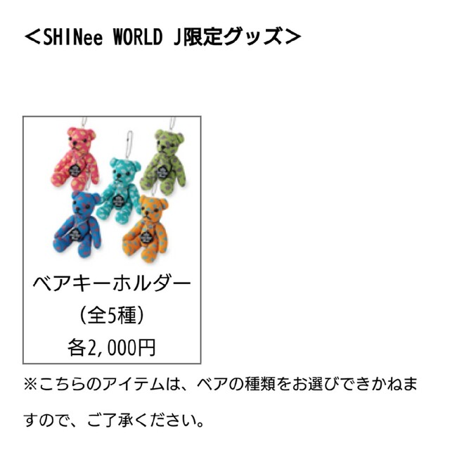 【美品】SHINee BOYS MEET U TOUR ベアキーホルダー 4