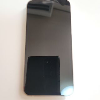 iPhone12 mini　ジャンク品(携帯電話本体)