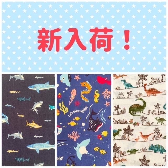 入園 入学 ☆レッスンバッグ オーダー 受注注文 男の子 《海 魚 恐竜