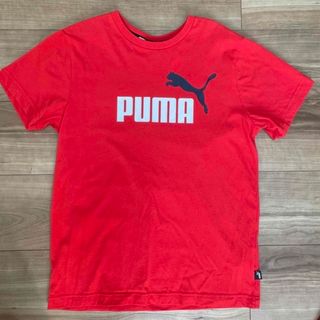 プーマ(PUMA)の専用です／puma Ｔシャツ　160cm 赤(Tシャツ/カットソー)