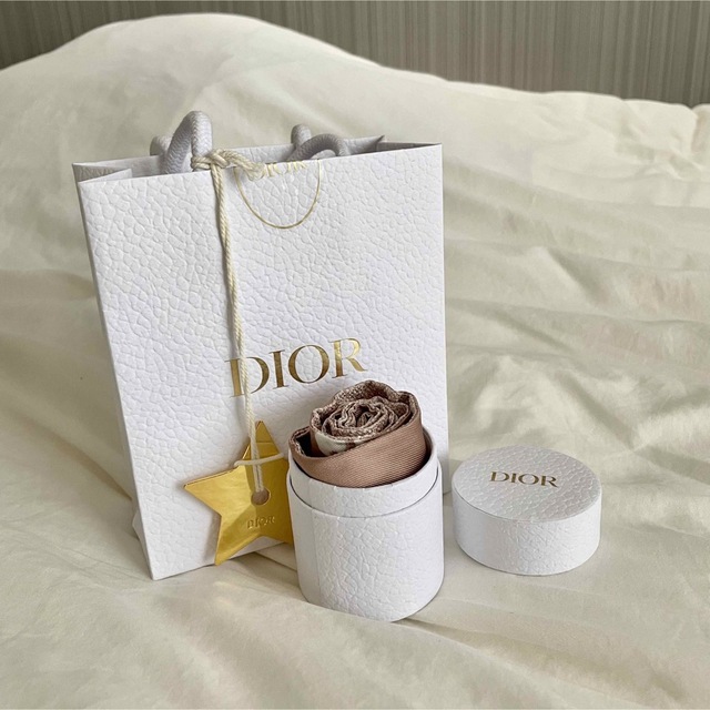 Christian Dior - 【正規品/新品未使用】DIOR ミッツァスカーフの通販