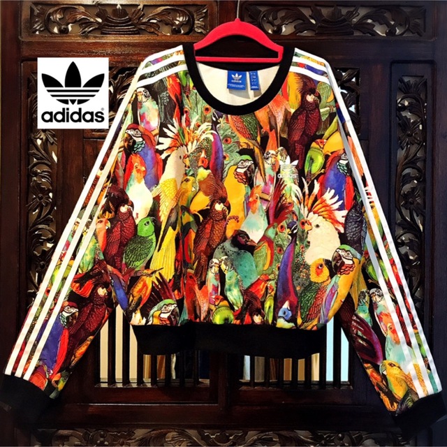 adidas オウム柄