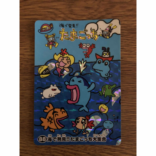 たまごっち 海で発見 - certbr.com たまごっち 海で発見 - certbr.com