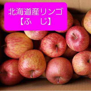 ★北海道産リンゴ【ふじ】　訳あり品　約５キロ(フルーツ)