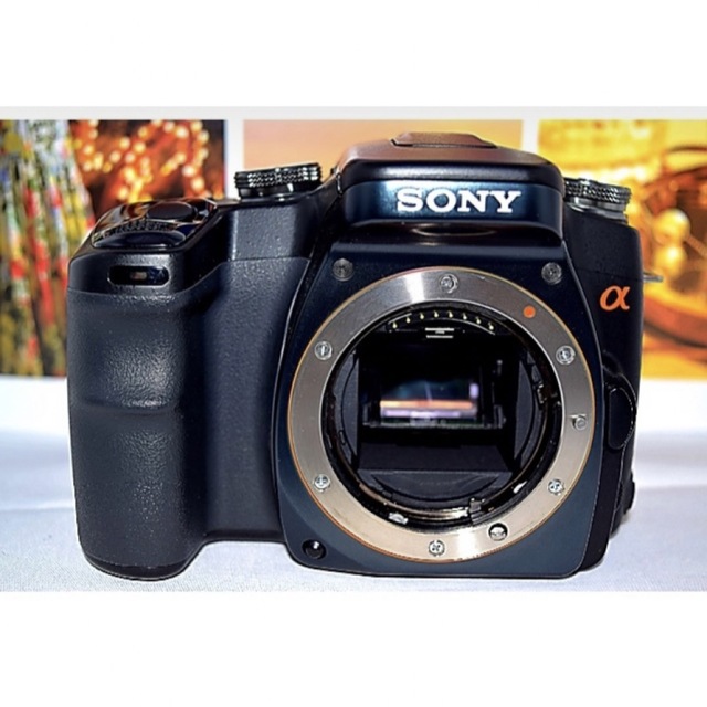 一眼レフカメラ SONY a100-hybridautomotive.com