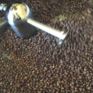 コスタリカ　ブラックハニー製法　600g コーヒー豆(コーヒー)