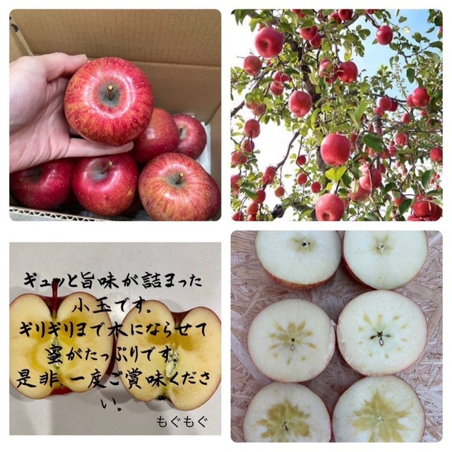 蜜入りサンふじ　青森県産りんご　by　6キロの通販　もぐもぐ｜ラクマ