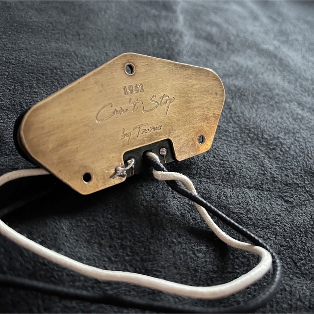 Tourus Handmade pickups 1962"Can't stop"