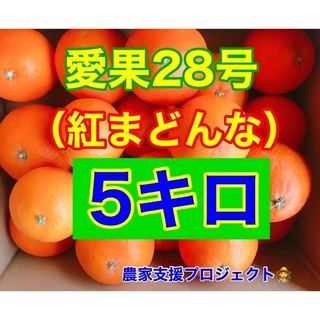 愛果28号5キロ (フルーツ)