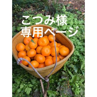 こつみ様　専用ページ(フルーツ)