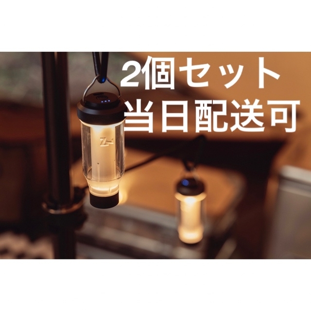 ネット卸売り ゼインアーツ ジグ 2個セット - grupofranja.com