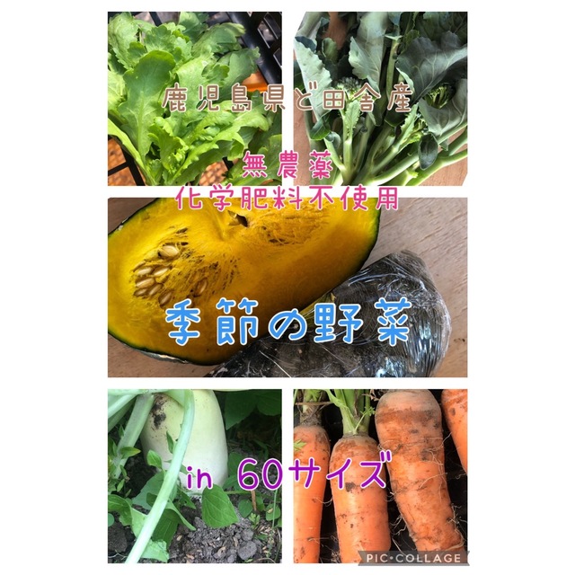 鹿児島県ど田舎産 無農薬野菜詰め合わせ♪60サイズの通販 by やっさん 季節の野菜詰め合わせ60サイズ