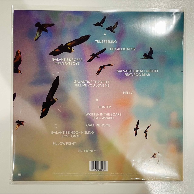 レコードGalantis ギャランティス The Aviary LP Vinyl