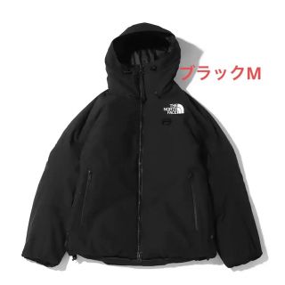 ザノースフェイス(THE NORTH FACE)のTHE NORTH FACE FIREFLY INSULATED PARKA M(ダウンジャケット)