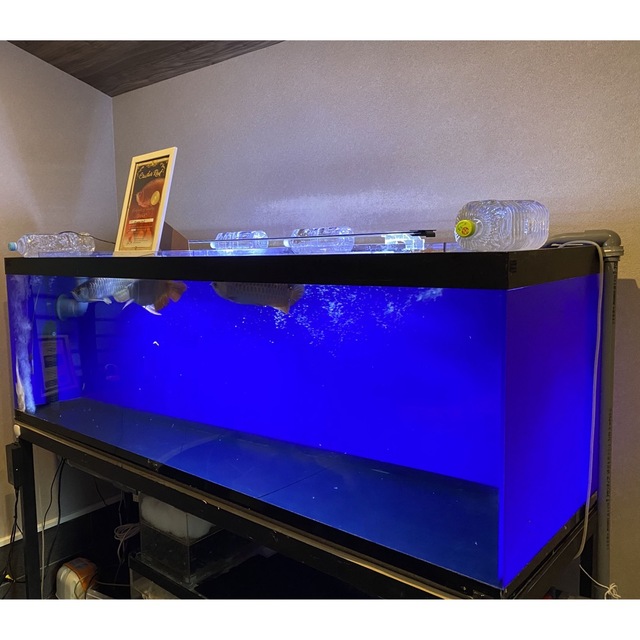 美品　1800 水槽　1800×600×600 サイドフロー　フルセット　熱帯魚