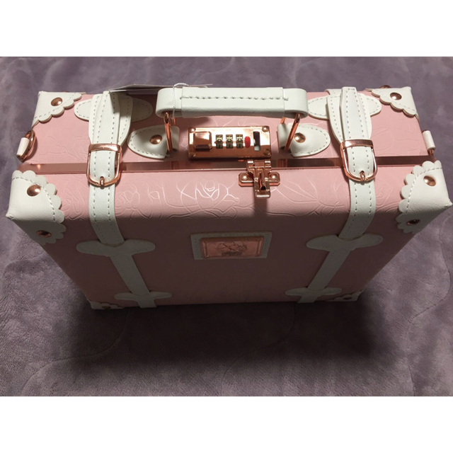 レトロ感のあるキャリーバッグ』明るめのマルーン スーツケース