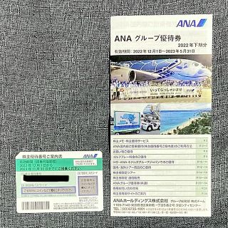 エーエヌエー(ゼンニッポンクウユ)(ANA(全日本空輸))のANA 株主優待券 1枚 有効期限2023年11月30日まで(その他)