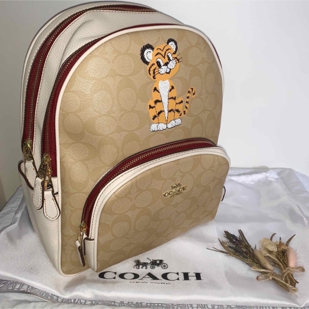 COACH(コーチ)の《新品未使用》《値下げ可》《人気》コーチ　リュック レディースのバッグ(リュック/バックパック)の商品写真