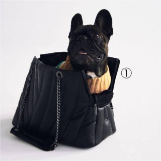 ザラ(ZARA)のZARA    ペット　キャリーU・x・U(犬)