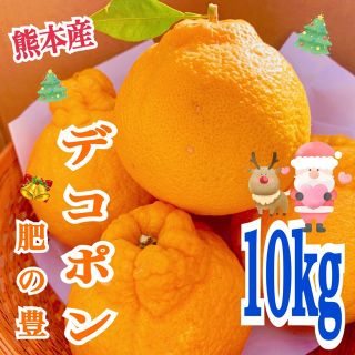 熊本産　デコポン　肥の豊　たっぷり約10kg  お買い得　リピーター多数