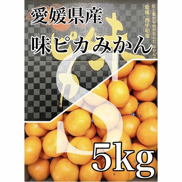 最上級高級蜜柑!愛媛県産【味ピカみかん】Sサイズ5kg