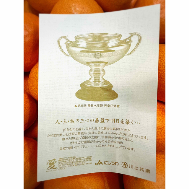 最上級高級蜜柑!愛媛県産【味ピカみかん】Sサイズ5kg
